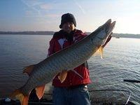 November Green Bay Musky