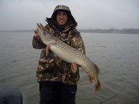 November Green Bay Pike