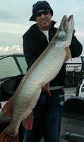 Fat Musky