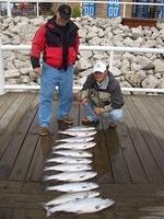 Port Washington Salmon