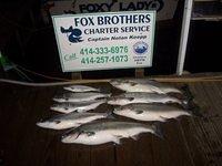 3 hour evening trip
