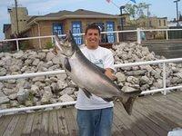 26lb king
