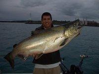28lb King
