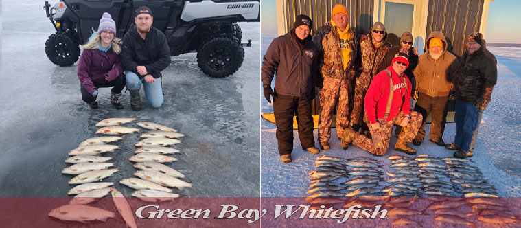 Green Bay Whitefish Ice Fishing