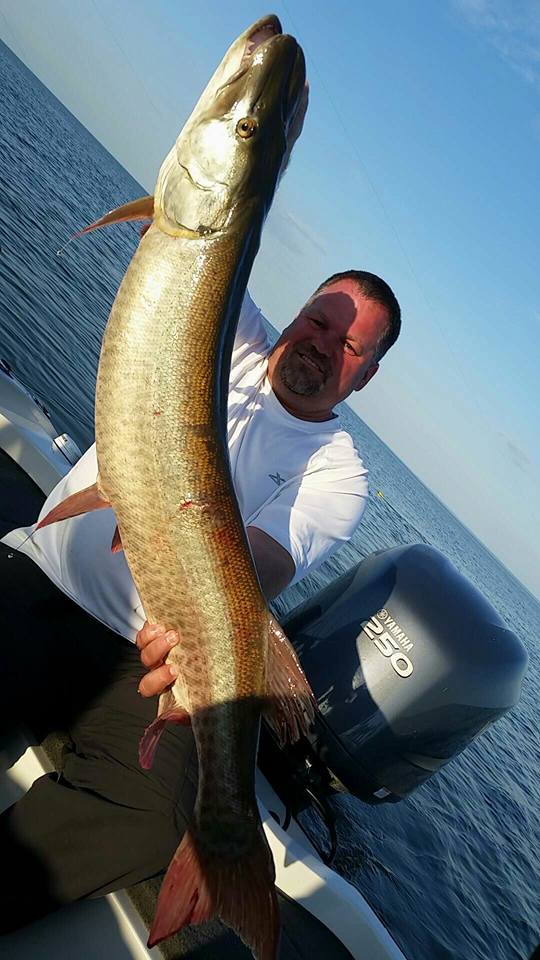 Green Bay Walleye Fishing Pictures Lake Michigan Salmon Pictures