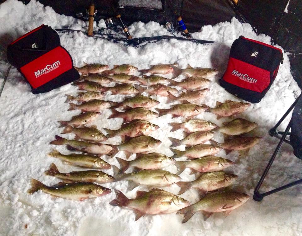 Green Bay Walleye Fishing Pictures Lake Michigan Salmon Pictures