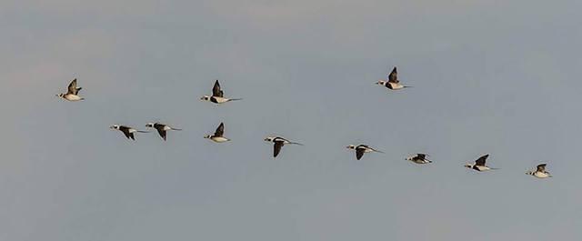 12311256 10102321373098698 6803830473539418015 n