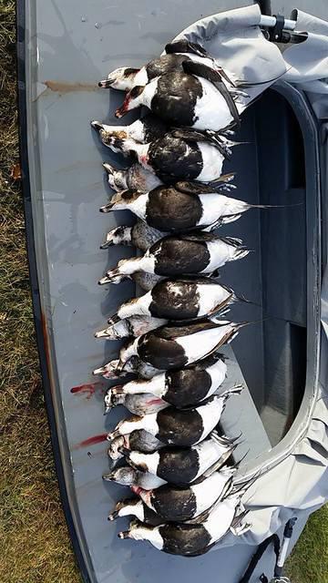 12313708 10102321373163568 5566498352092266496 n