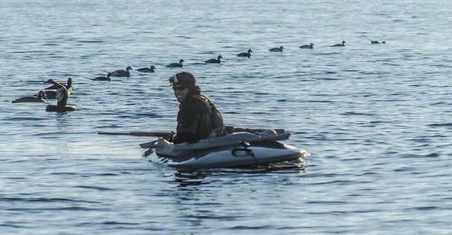 12316147 10102321372030838 4153664274612700985 n