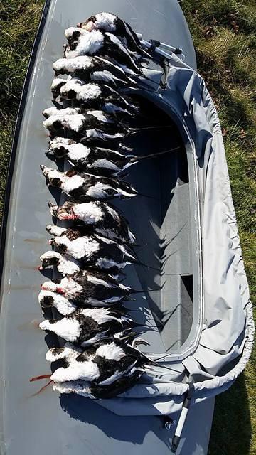 12342271 10102321374026838 7204398044884254865 n