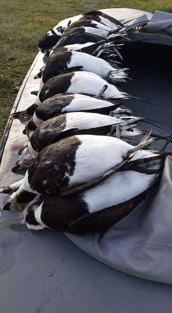 Two Rivers Duck Hunting Guide