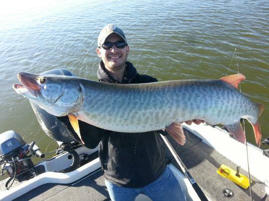 Green Bay Musky