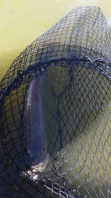 11224205 10102283364473288 4130739761820224558 n