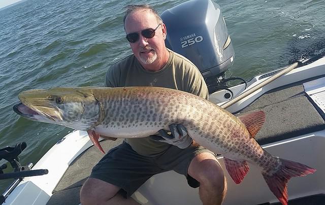 12004770 10102276454905118 854891231097854355 n