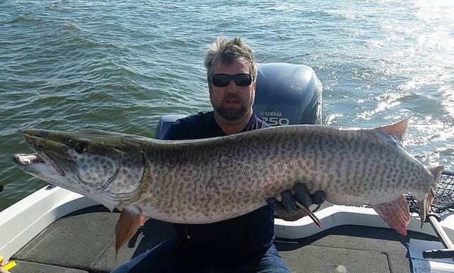 12036891 10102282608049168 5495123460904087816 n