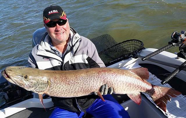 12042652 10102282608662938 5205339073591855500 n