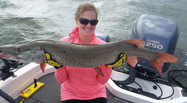 12042698 10102276456152618 8268998415843026125 n