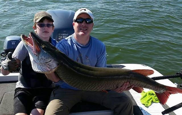 12046766 10102282608528208 8924544721410976328 n