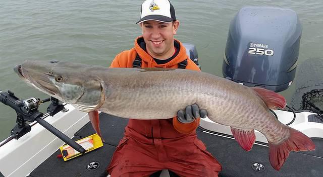 12047076 10102282608742778 7675671740567534362 n