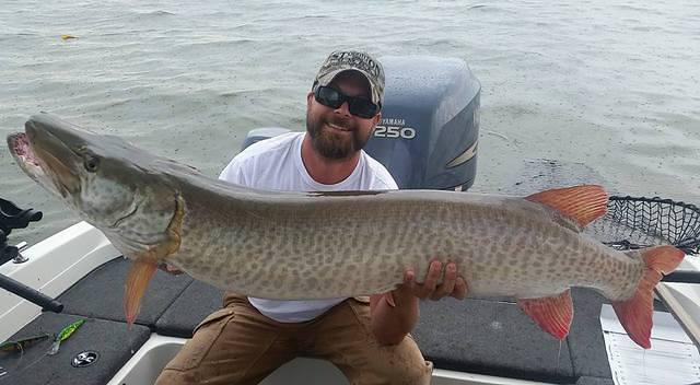 54 inch Green Bay Musky
