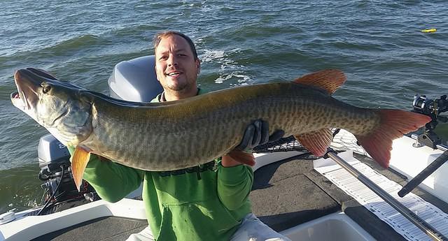 12049701 10102276454695538 4084893221044083633 n