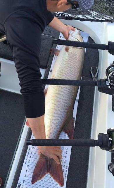 12074510 10102283364443348 8516179206414283823 n