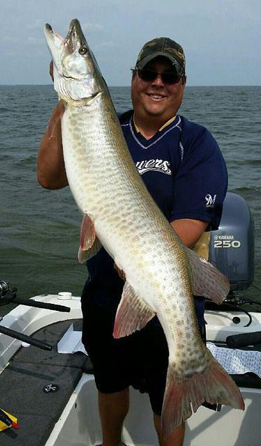 12074809 10102283364034168 1677029331658085961 n