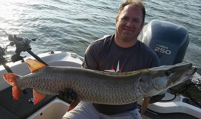 12079127 10102282608583098 3597227839317321083 n