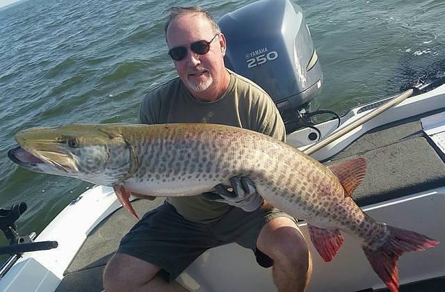 12079441 10102282607789688 5484202940079429437 n