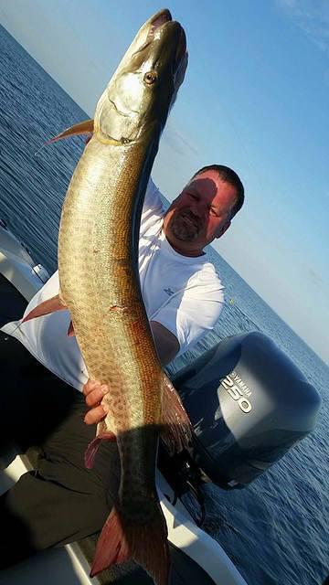 12107004 10102283364173888 2661169167064268563 n