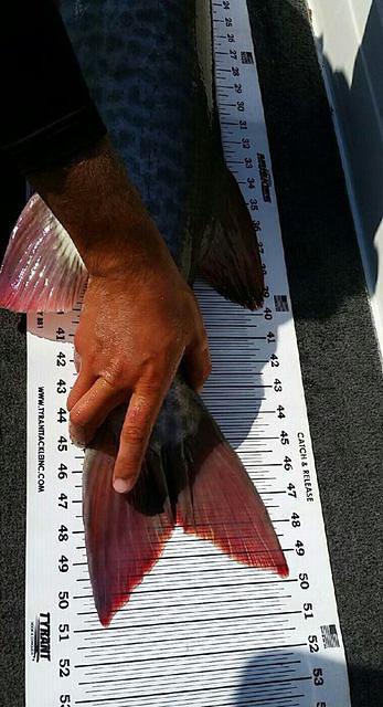 12107196 10102283364388458 8305209078151050616 n