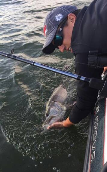 12108168 10102283364408418 370913763683879338 n