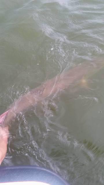 12118630 10102283364518198 276192884809950236 n