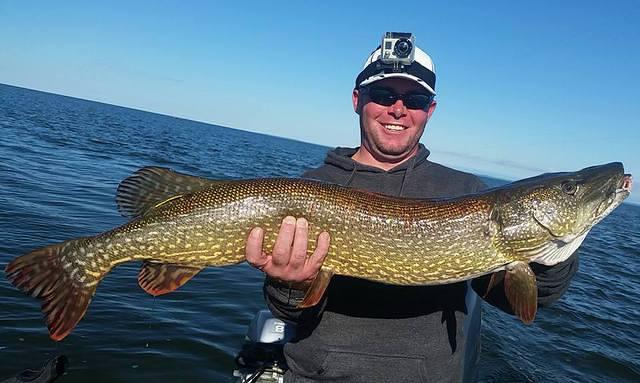 12140743 10102283364333568 716305782534550515 n