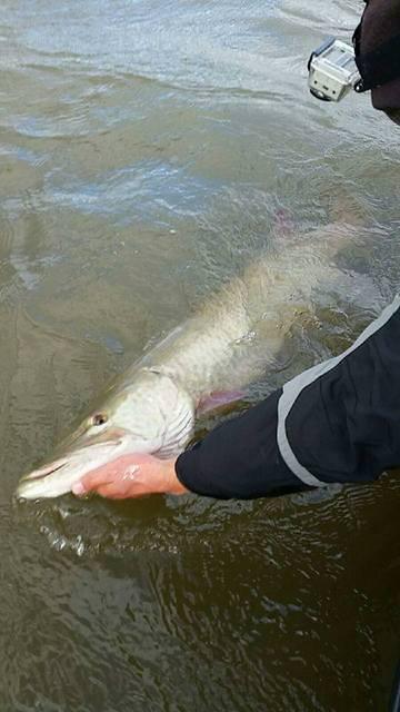 12191441 10102303681368068 3695425932964950946 n