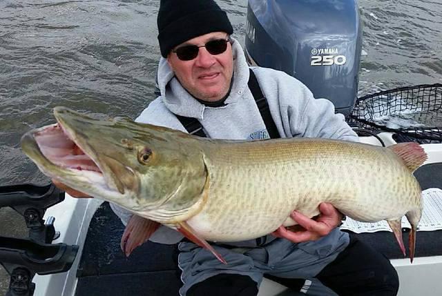 12208851 10102303681268268 8277313227621347144 n