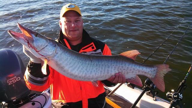 Green bay musky