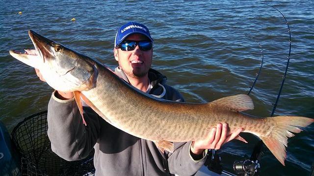 Green Bay Musky