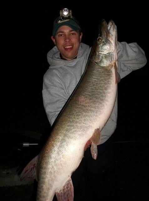 Night Green Bay Musky