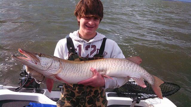 Nice Musky