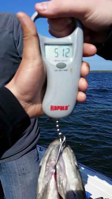 Huge Sturgeon Bay Smallmouth