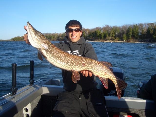 40inch pike