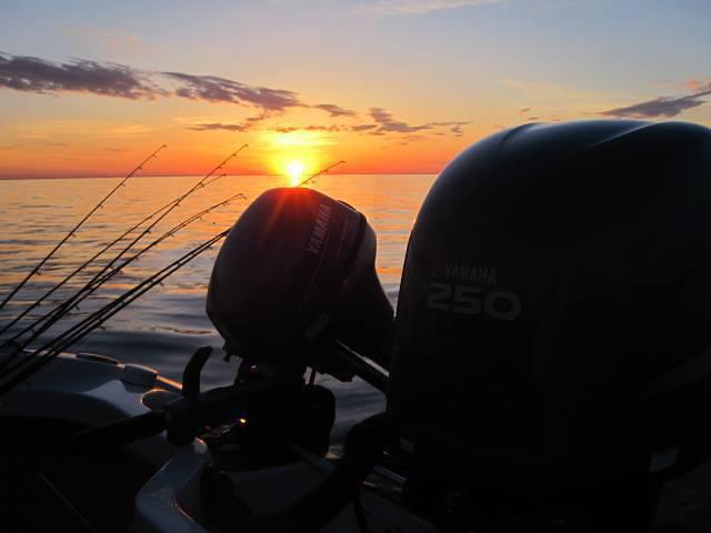 1012905 10101825465890718 1800251641 n