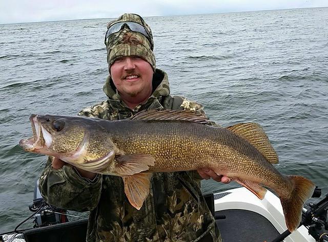 10431685 10102157269099428 2452676528791466813 n