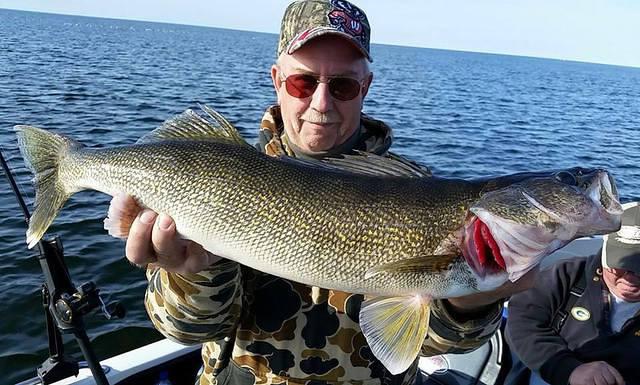 11013063 10102163599433388 8771793305789477620 n