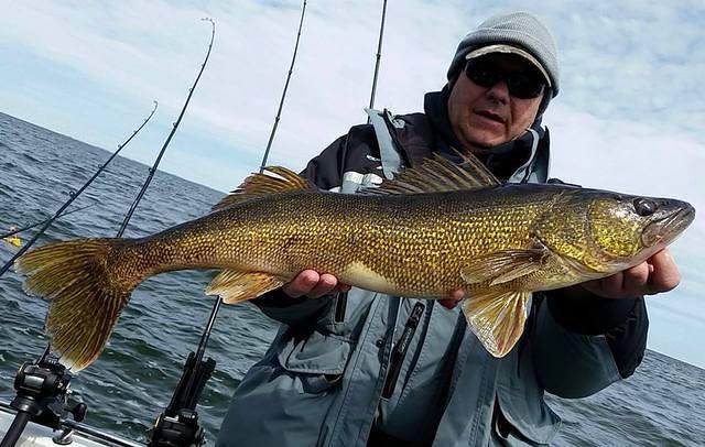 11125271 10102159381106948 5382165359339448736 n