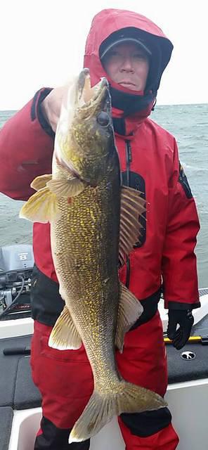 11145052 10102156294417698 3197739886359898630 n