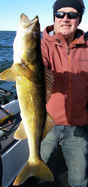 11148443 10102154835676028 6189654795561238210 n