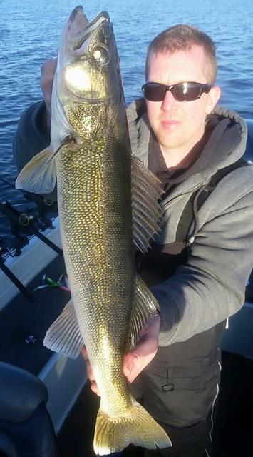 11149360 10102149079995458 3003309319808835289 n