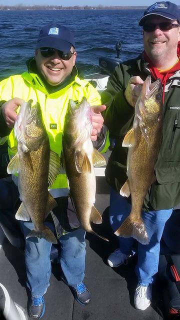 11156246 10102149531081478 218876041926211923 n